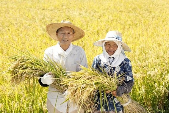 高齢化が進む農業に外国人の活用を